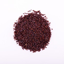 Psyllium