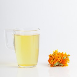 Souci (Calendula)