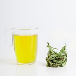Verveine citronnelle