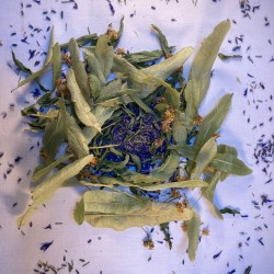 Tisane bleu nuit
