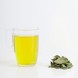 Menthe marocaine (menthe...