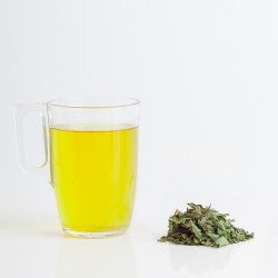 Menthe poivrée